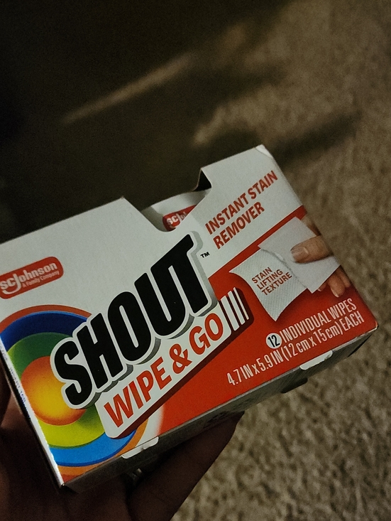 Shout. Other - Shout Wipe & Go Instant Stain Remover - 12 Individual Wipes